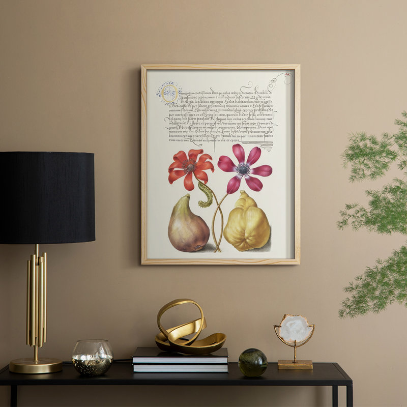 Reproduction encadrée de Hoefnagel, «Tropical Specples» - bois massif, Natural, 21" H x 17" W