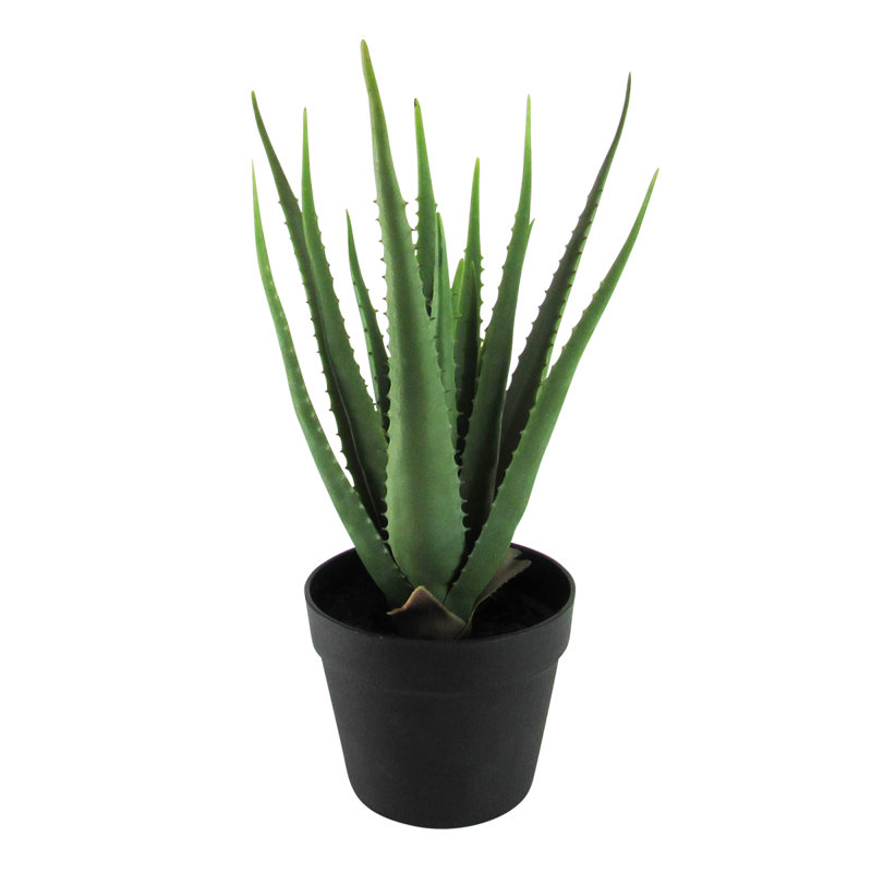 Plante grasse artificielle aloès en pot, H 19 po x l 14,5 po x P 14,5 po