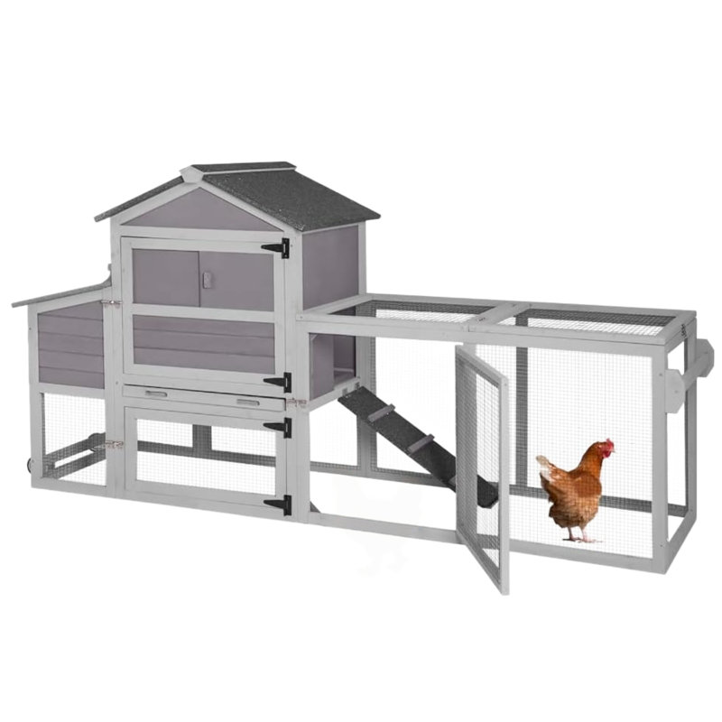 Chicken Coop