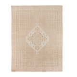 Deluca Oriental Area Rug