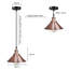 Columbus 1 - Light Copper Pendant