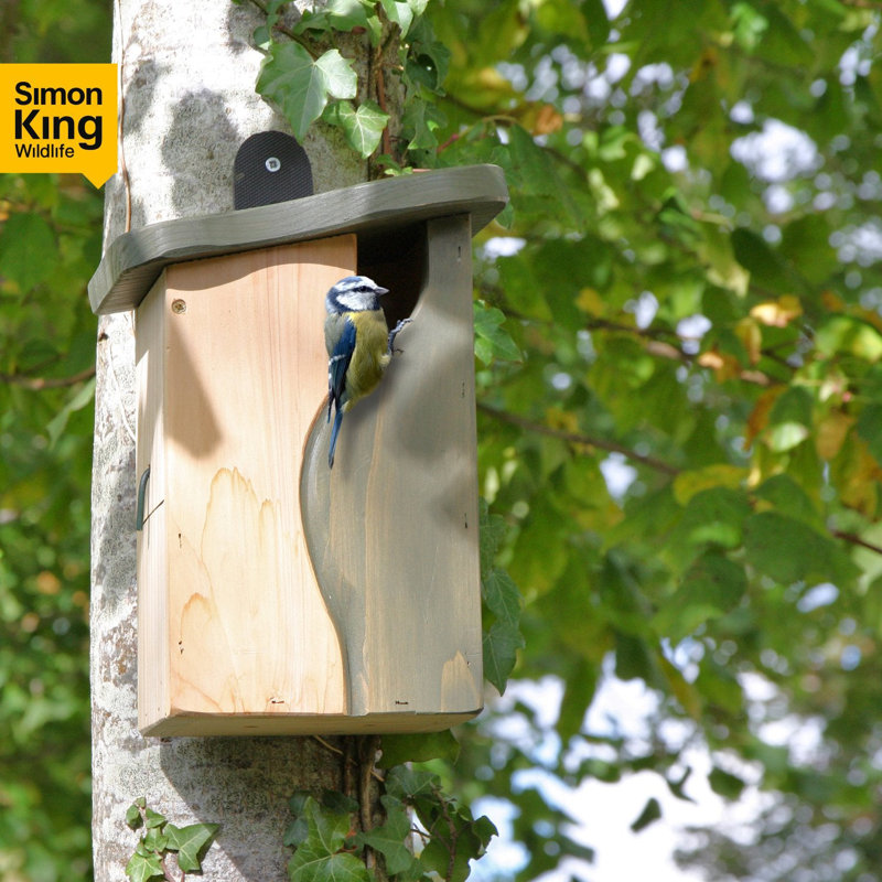 Blairsden Mounted Birdhouse
