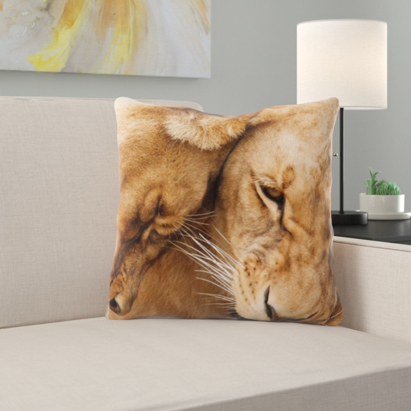 Coussin en afrique
