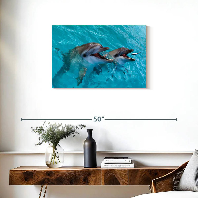 Brampt Cute Dolphins