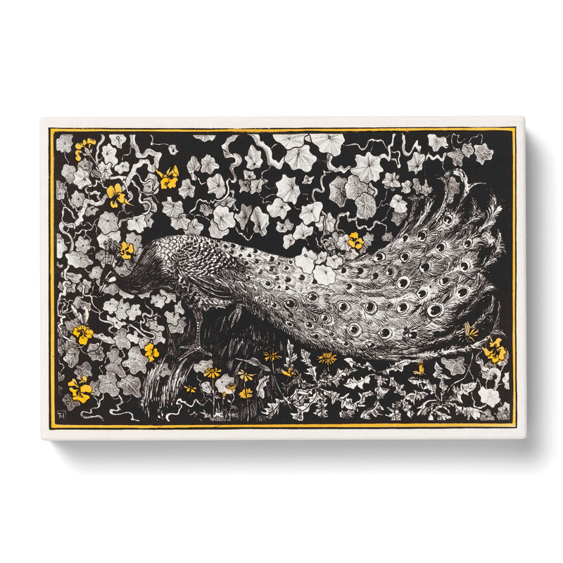 Peacock by Theo Van Hoytema - Wrapped Canvas, 50cm H x 76cm W x 3cm D