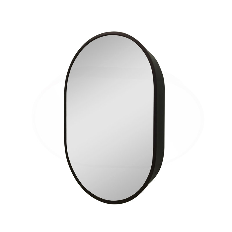Armoire de salle de bain murale ovale en mÃ©tal noir de 31 x 21 pouces avec miroir