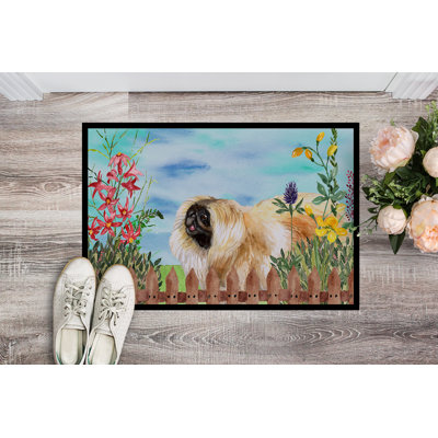 Non-Slip Outdoor Doormat