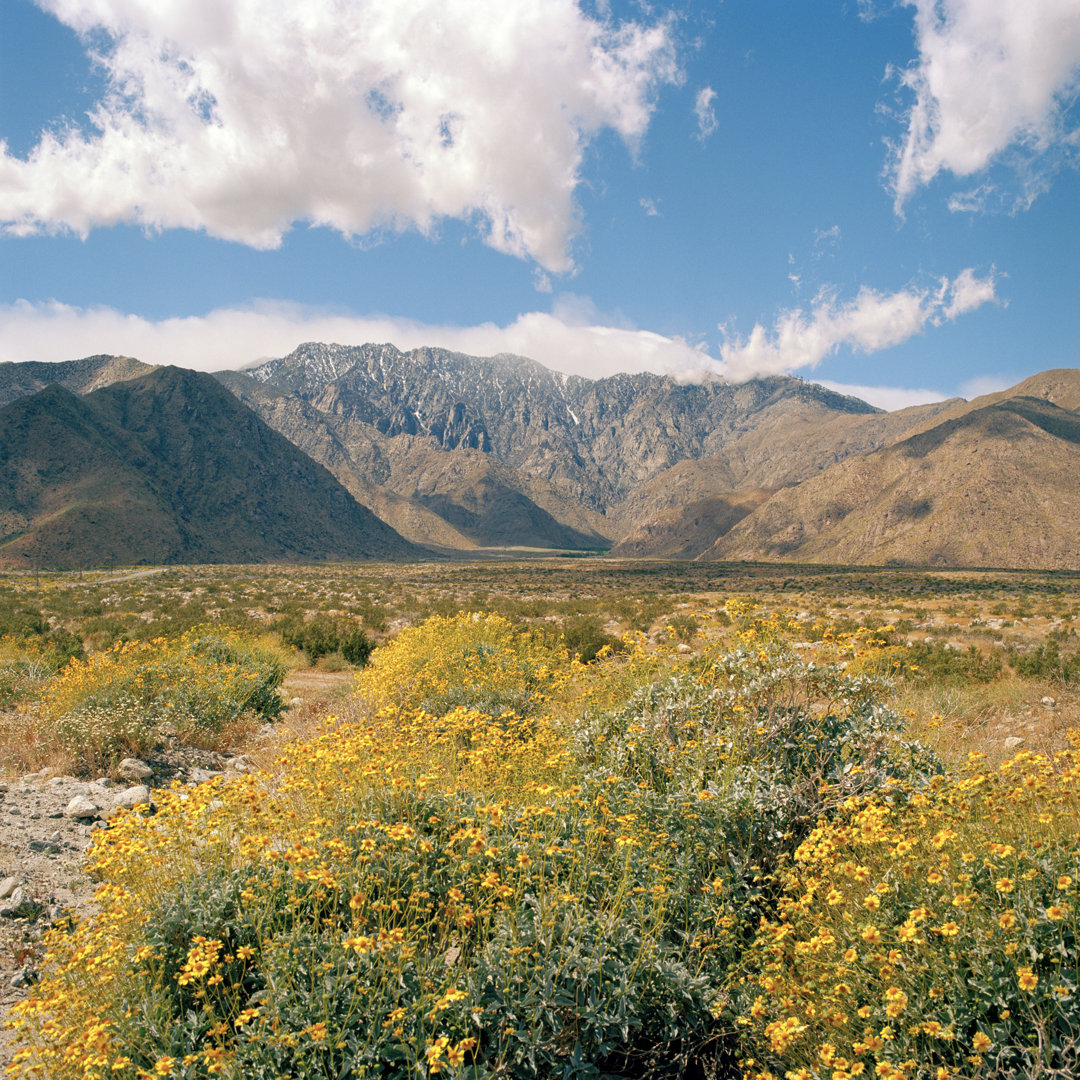 Mount San Jacinto von Lfreytag - Kunstdrucke auf Leinwand