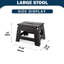 Plastic Step Stool