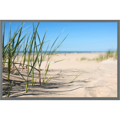 Deshields Grass In The Sand Dunes With The Lake In The Background - Single Picture Frame Print