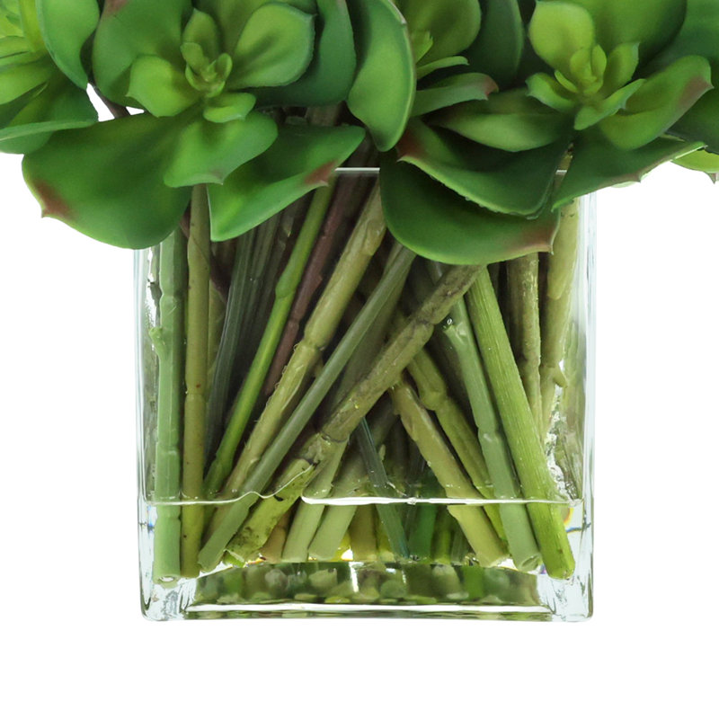 Arrangement Echeveria dans un vase en verre