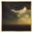 Gold Floater Framed Canvas
