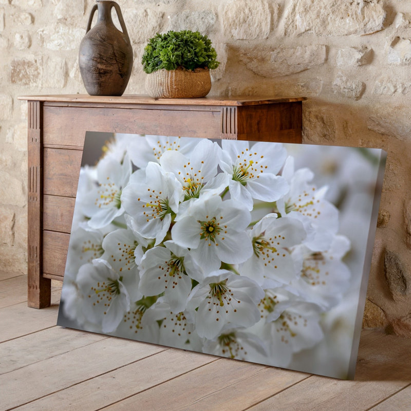 Toile, vue rapprochée de fleurs de cerisier blanches délicates disposées dans une formation en cascade présentant leurs détails complexes, reproduction d'art sur toile