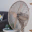 Oscillating Pedestal Fan
