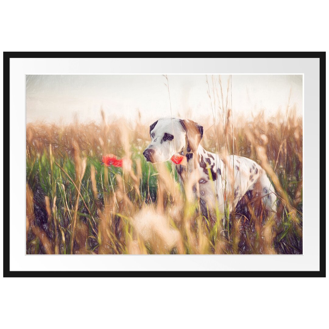 Gerahmtes Poster Neugieriger Hund im Feld