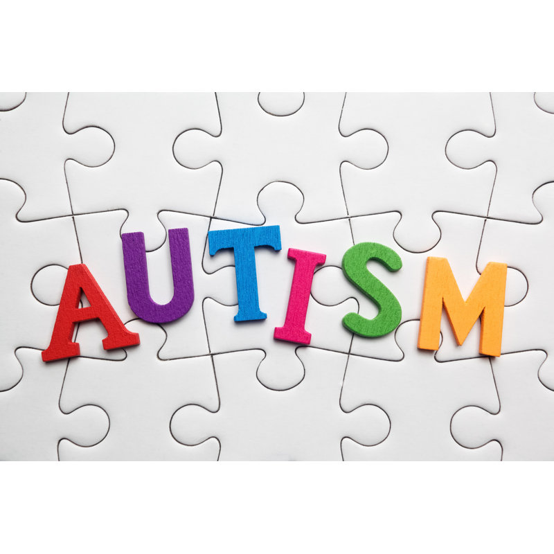 Autism Inscription - Wrapped Canvas Print, 51cm H x 76cm W x 3.8cm D