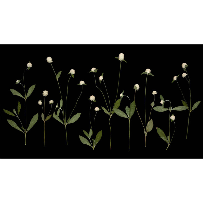 Plants & Flowers Print