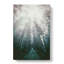 Down The Forest Path In Abstract by Pierre-Joseph Redoute - Wrapped Canvas-55342378