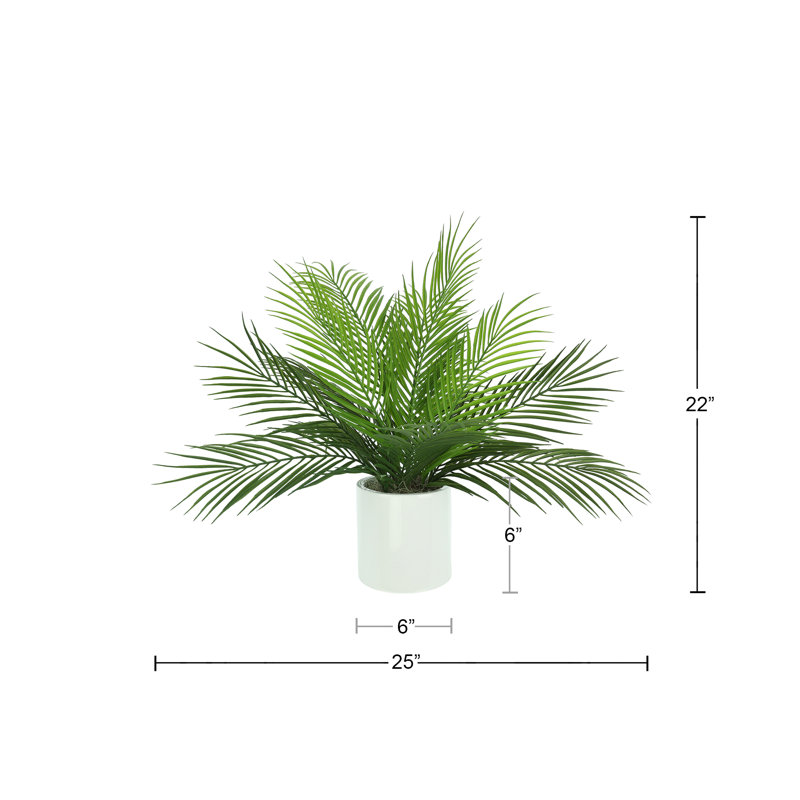 Outdoor UV Rated Palm in Fiberstone Pot