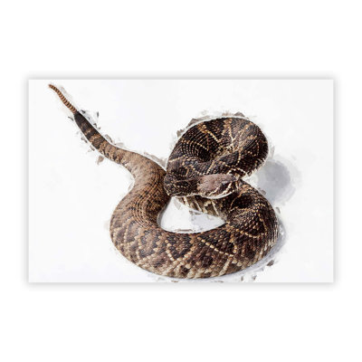 Close to a Rattle Snake - Frameless Print