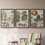 Exotic Botanique I - Ensemble de 3 peintures sur toile encadrées-595385040-595385045