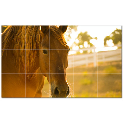 Horse Photo 4.25'' x 4.25'' Satin Ceramic Decorative Mural