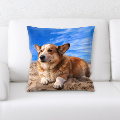 Aiden Microsuede Reversible Throw Pillow