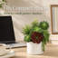 Plante grasse artificielle