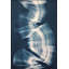 Tapis décoratif bleu et tapis lavable-879050664