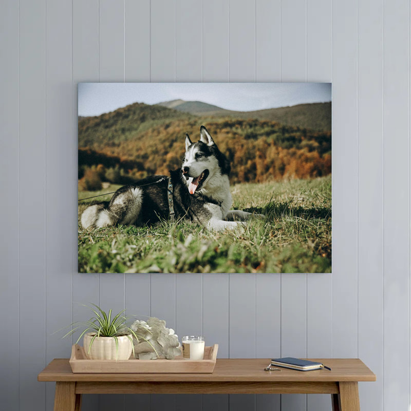 Husky Lying Down in Grass, 8" H x 12" W