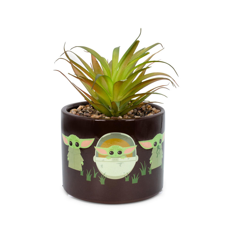 Plante succulente artificielle en pot The Child