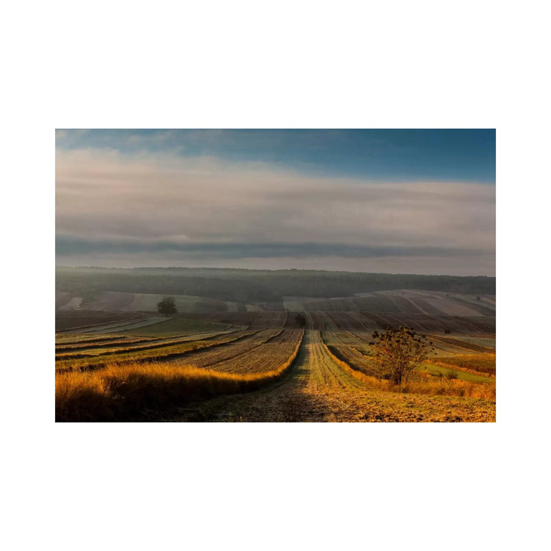 Poland, Lubelskie, Roztocze by Mikolaj Gospodarek - Wrapped Canvas Print, 20.32 cm H x 30.48 cm W