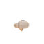 Tolani Basket-51848781