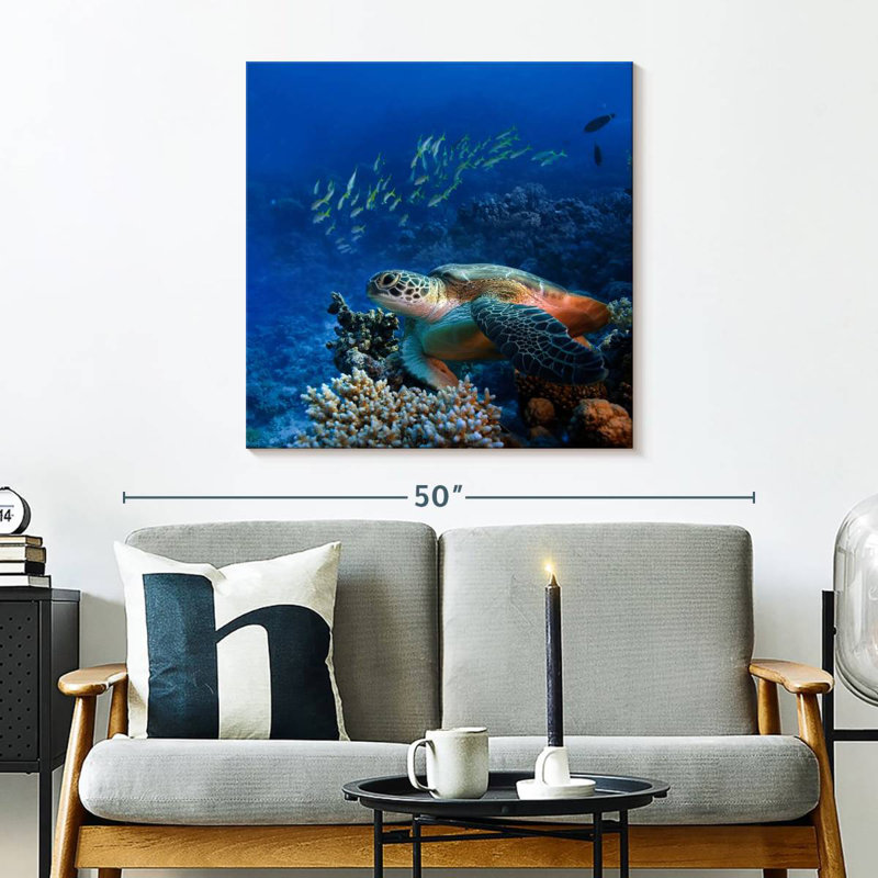 Brampt Corals And Turtle
