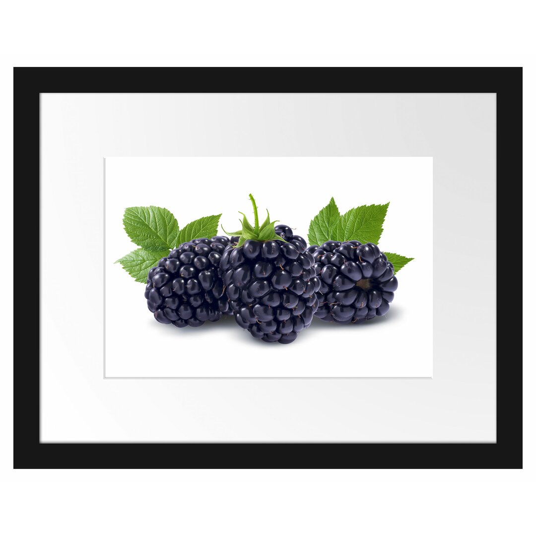 Gerahmtes Poster Leckere Brombeeren