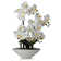 Natural Fibres Orchids Arrangement in Pot