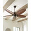 Ventilateur de plafond d'extérieur à cinq pales en forme de feuille de 52 po avec chaînette Garrick-23578142