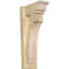 Persienne impériale traditionnelle-111689291-106951961