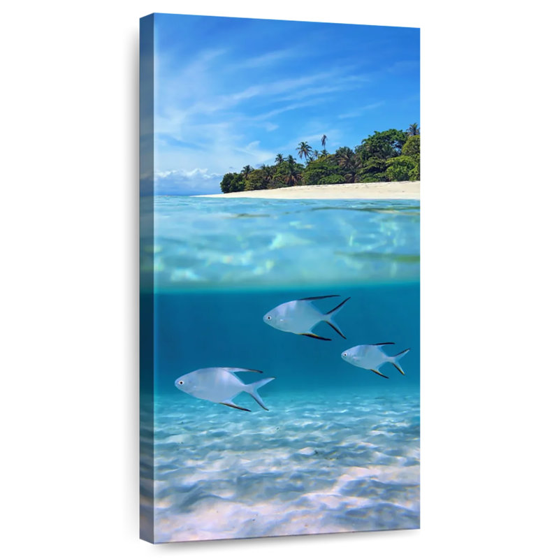 Underwater Palometa Fish