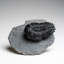Stone Decorative Object