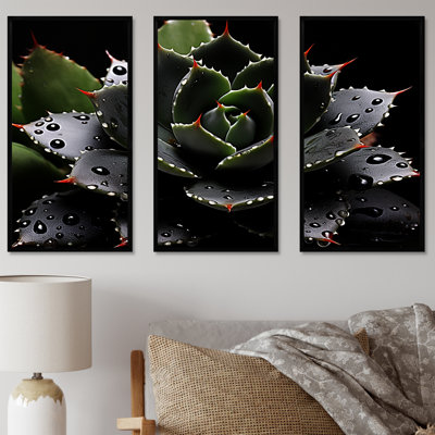 Black Blooming Cactus Photography - Floral Cactus Wall Art