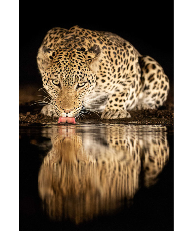 Wrapped Canvas Print, 50.8 cm H x 76.2 cm W