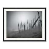 Landscape & Nature Print by Mark Paulda