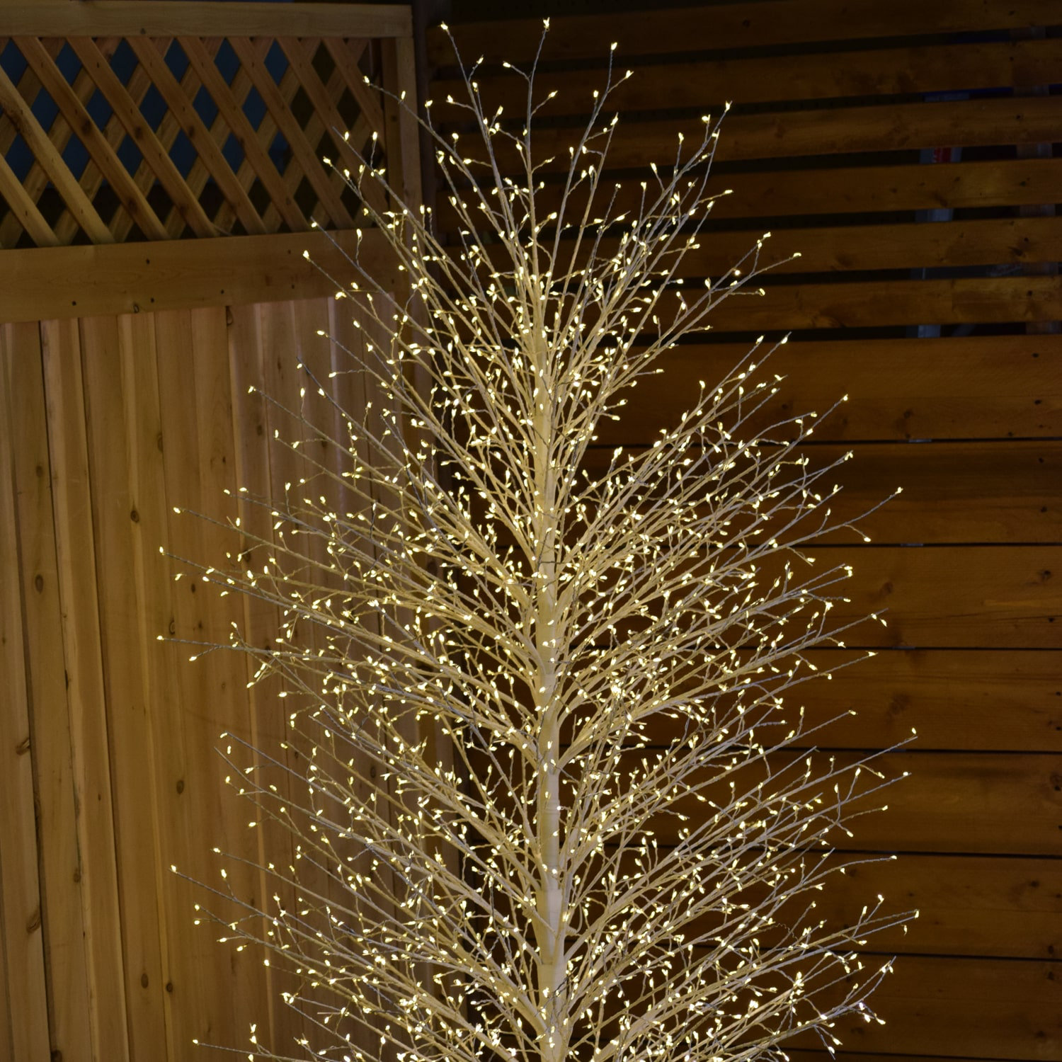 Birch Tree with Warm White LED Lights, White, 70.86" H x 20.8" L x 20.8" D