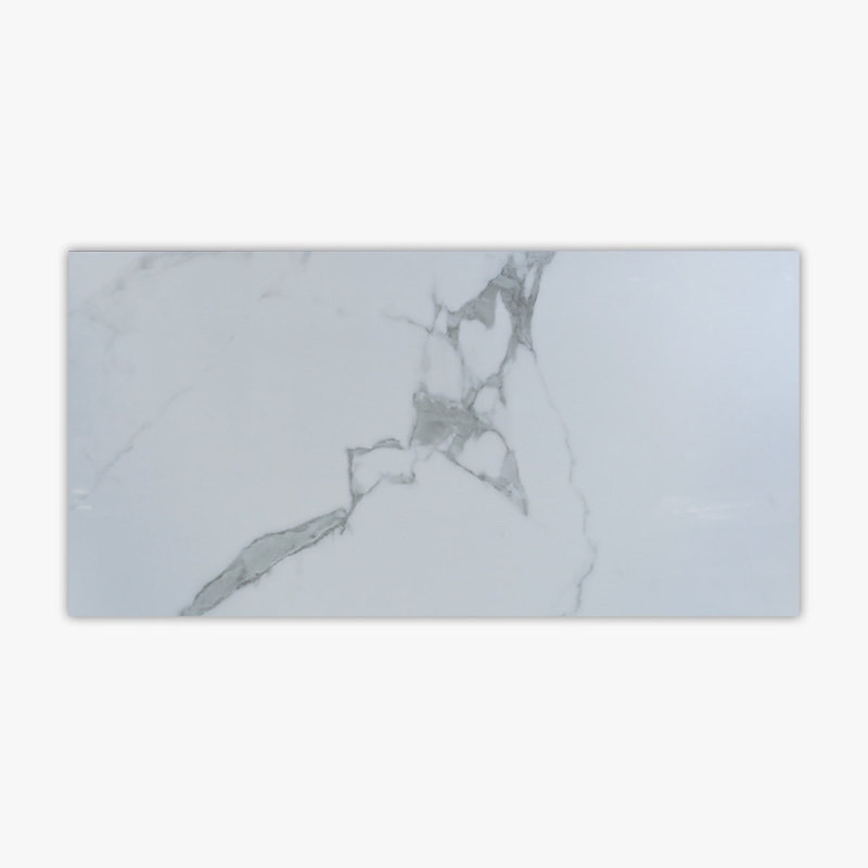 Carreau de mur et de plancher en porcelaine 24 po x 48 po