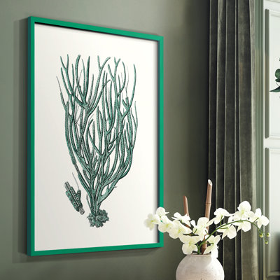 Antique Antique Coastal Coral, reproduction d'art encadrée