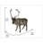 Reindeer Standing