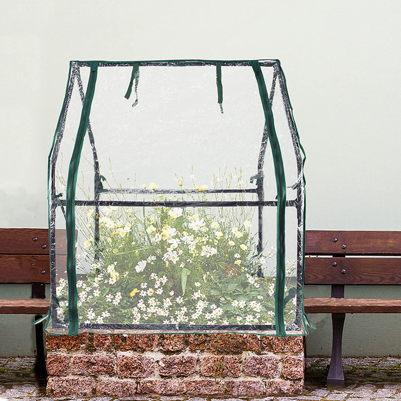 36.2" W x 36.2" D Mini Greenhouse