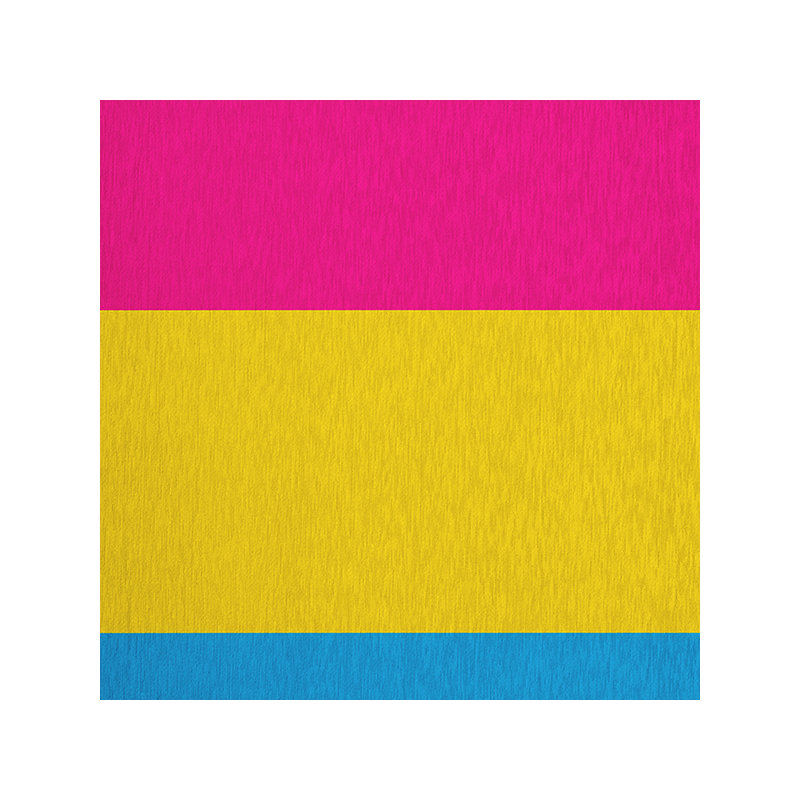 Tapis en chenille Pansexual, Rectangle 4 pi x 6 pi