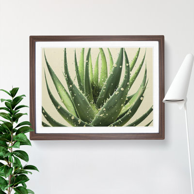 Angelical Aloe Vera Plant - Framed Print